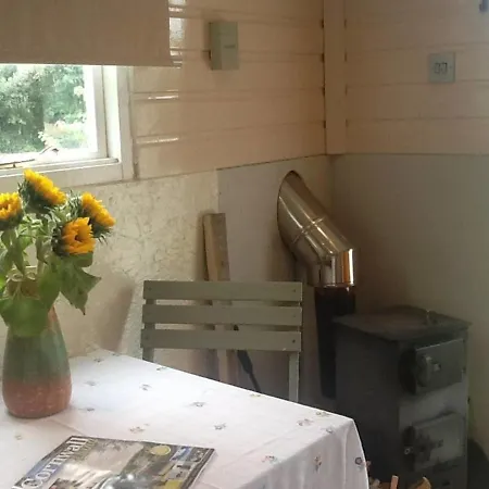 Cosy Shepherds Hut Nr Kynance Cove Holiday home