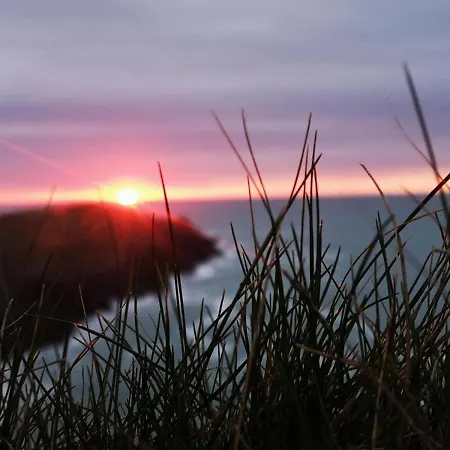 Cosy Shepherds Hut Nr Kynance Cove * Lizard