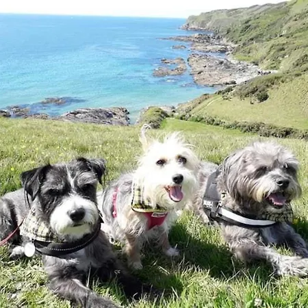 Holiday home Cosy Shepherds Hut Nr Kynance Cove *